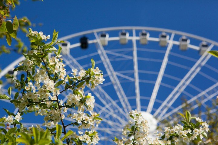 Lisebergshjulet, Liseberg